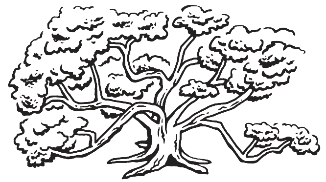 a black and white image of a tree